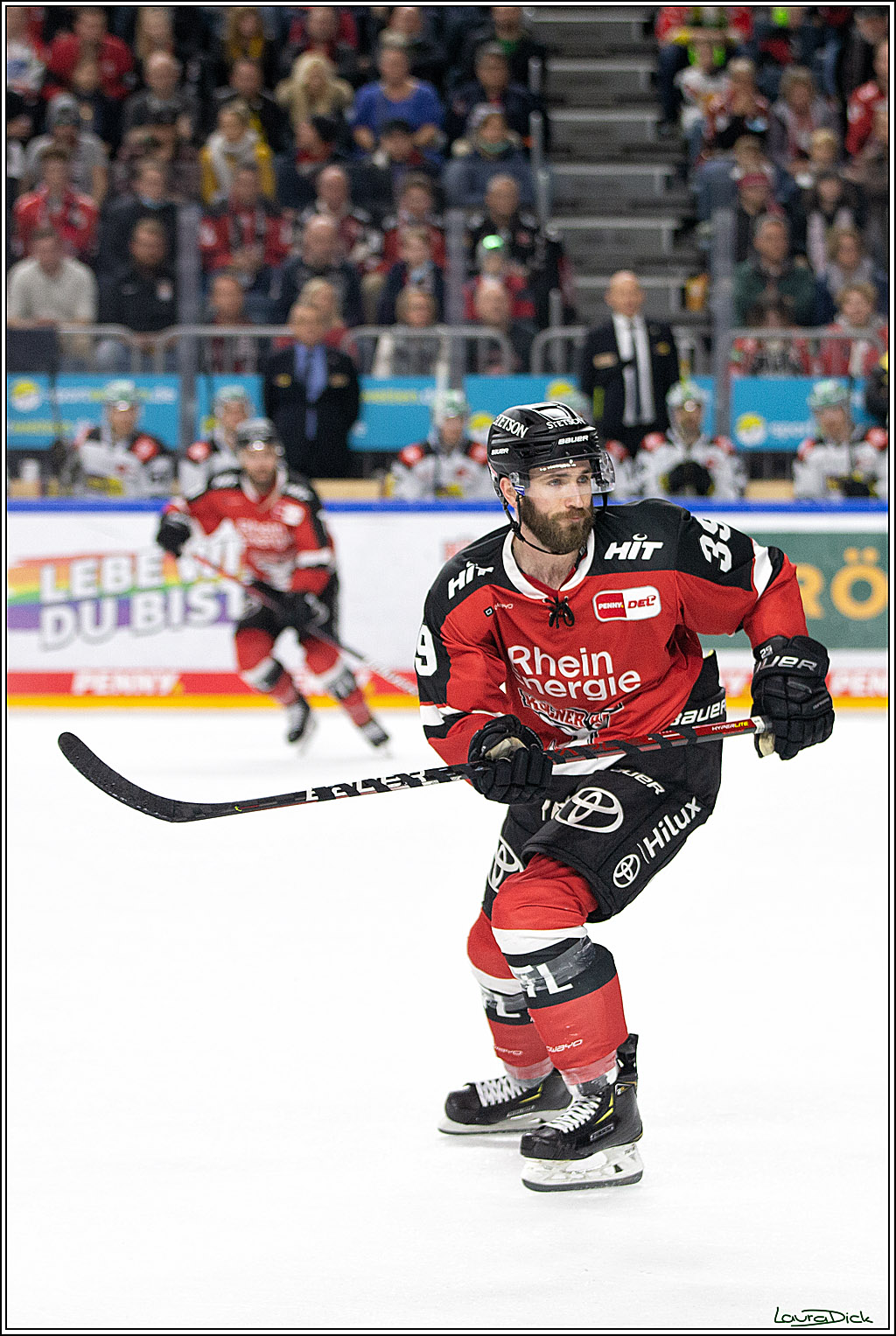 PENNY DEL;  Koelner Haie - Krefeld Pinguins; Koeln, 31.10.2021